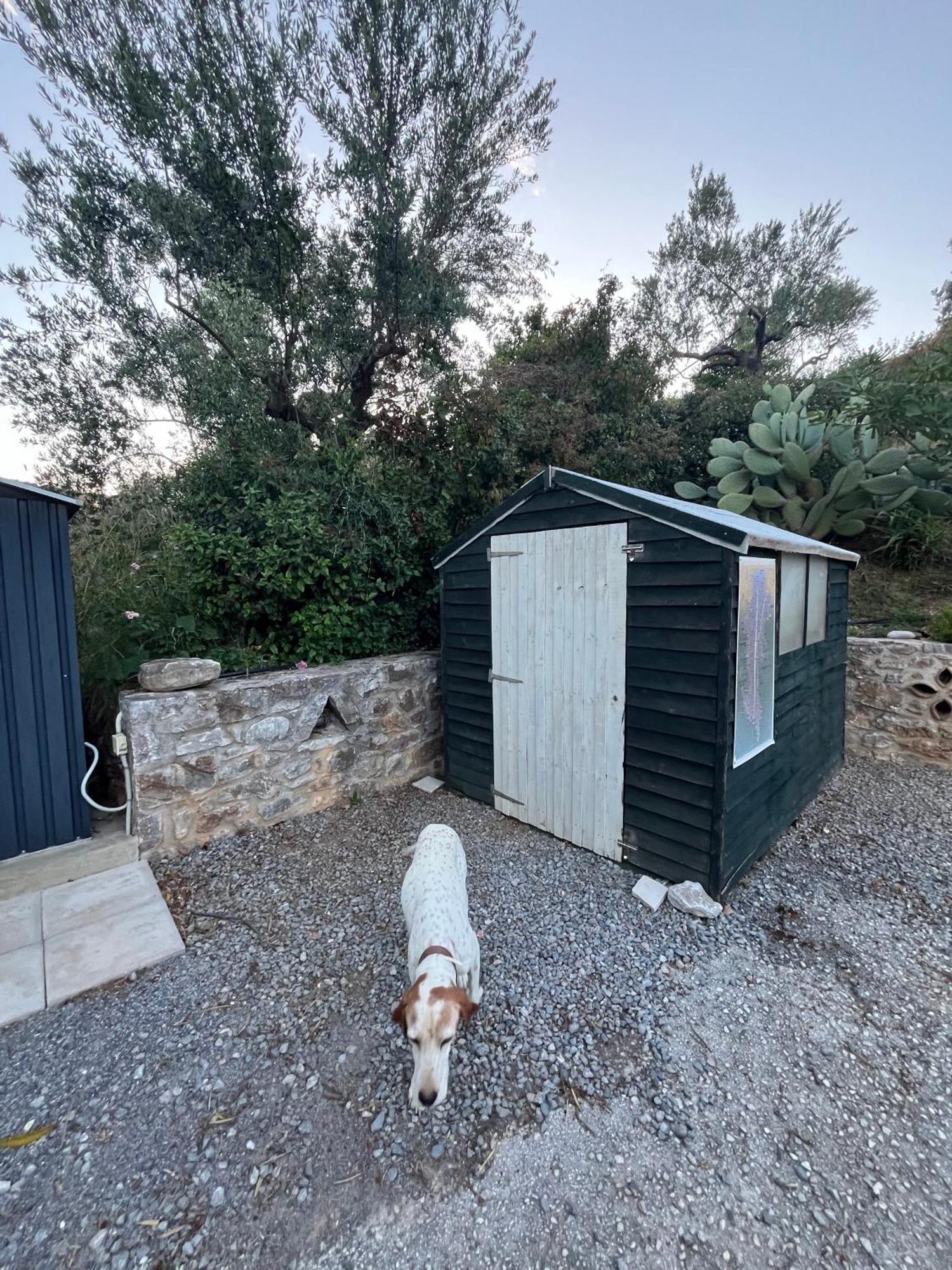 Nefeli Studios Vathi  Bagian luar foto