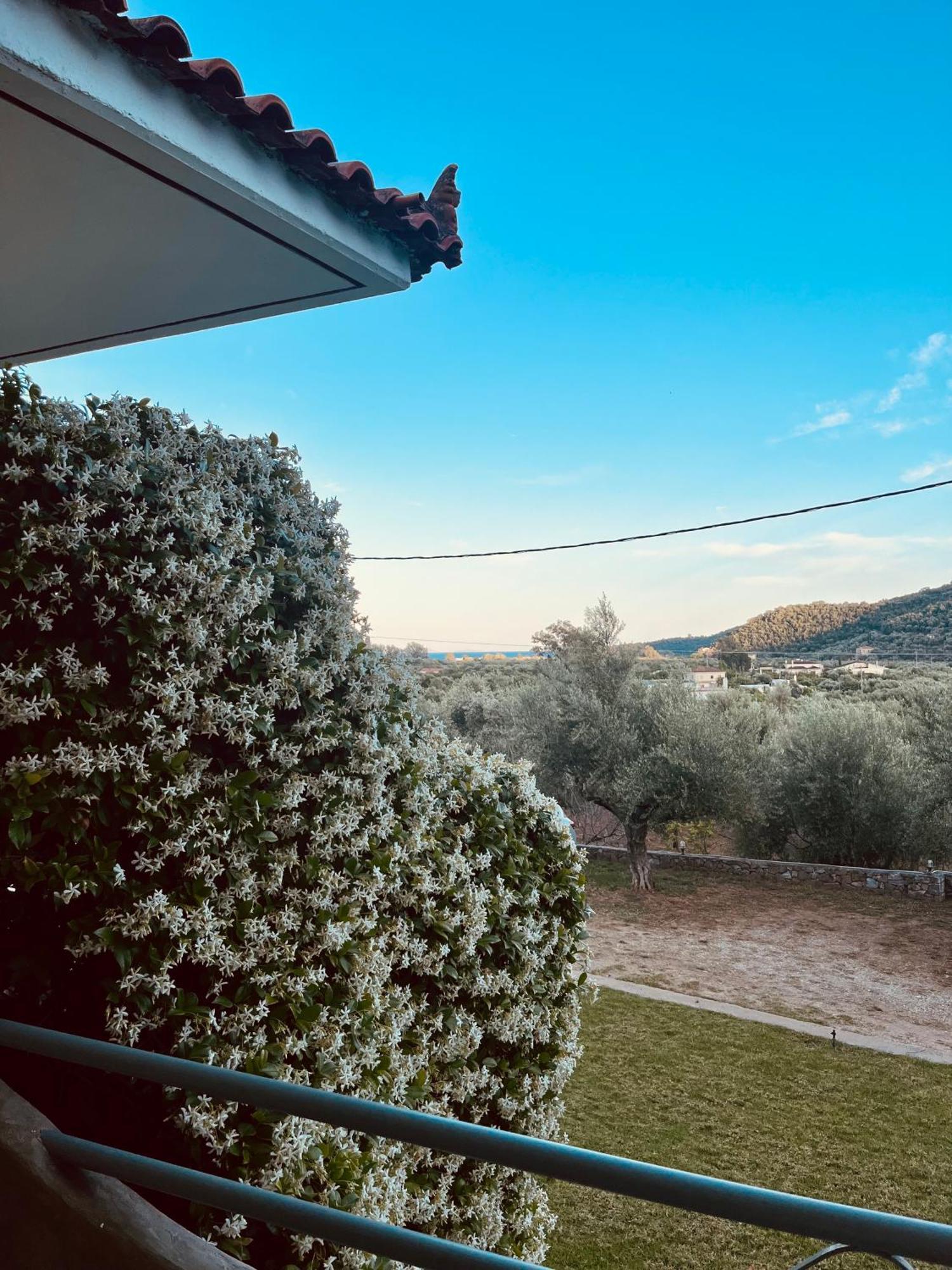 Nefeli Studios Vathi  Bagian luar foto